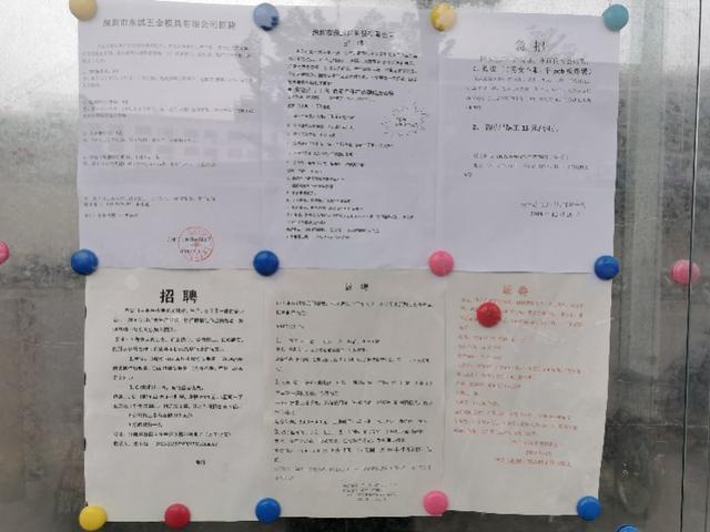 yooz电子烟_深圳电子烟行业现状_电子烟行业裁员情况
