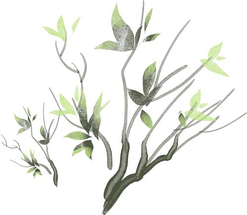 华礼门电子烟百度百科_利川市法院毒品犯罪判决_依托咪酯电子烟贩卖案件