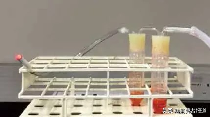 蒸汽烟和电子烟哪个好_电子烟有害物质含量_电子烟尼古丁上瘾风险